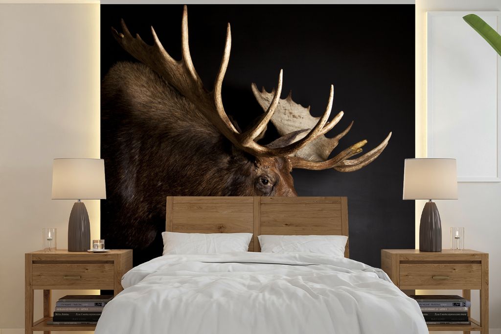 MuchoWow Fototapete für Wohnzimmer oder Schlafzimmer Wandtapete Vinyl Motivtapete Elch - Geweih - Porträt - 220x220 cm - Tapeten