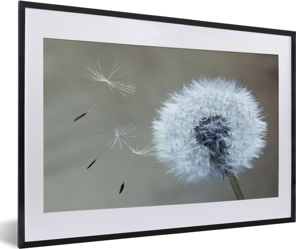 MuchoWow® Gerahmtes Poster Löwenzahn - Blume - Pflanze Produktbild 