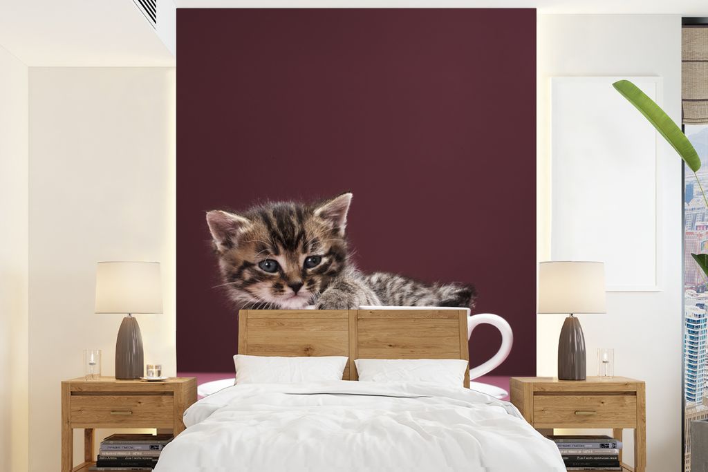 MuchoWow Fototapete für Wohnzimmer oder Schlafzimmer Wandtapete Vinyl Motivtapete Ein Kätzchen in einer Tasse mit Untertasse - 195x260 cm - Wan...