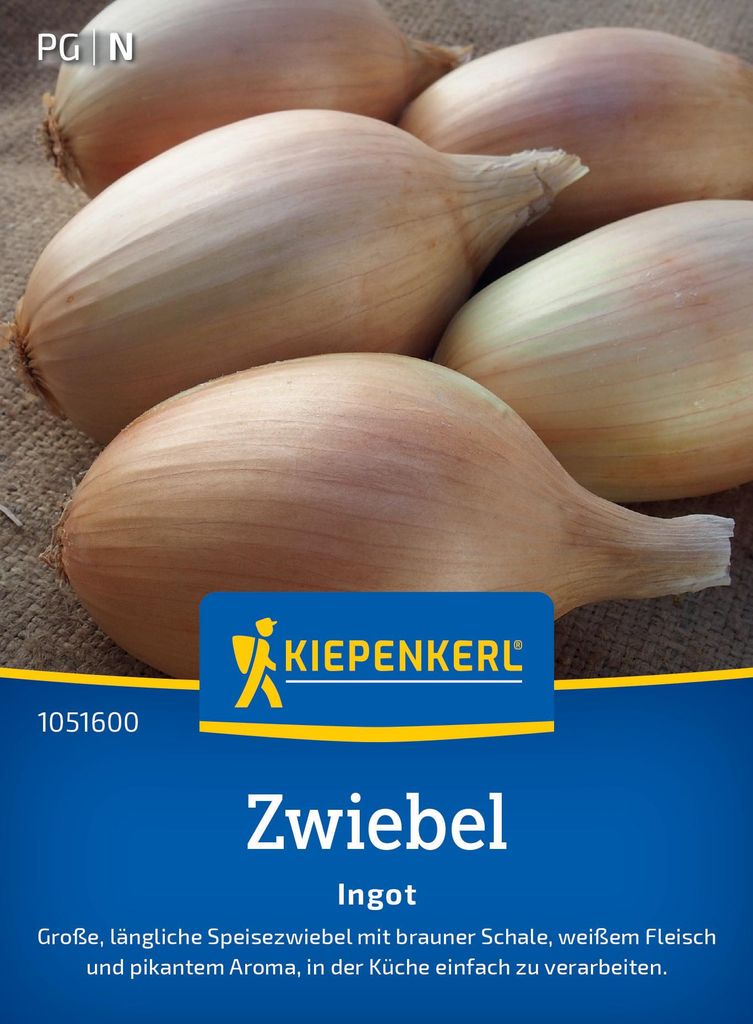 Kiepenkerl Zwiebelsamen Ingot F1 Allium cepa 2-3 lfd. Meter