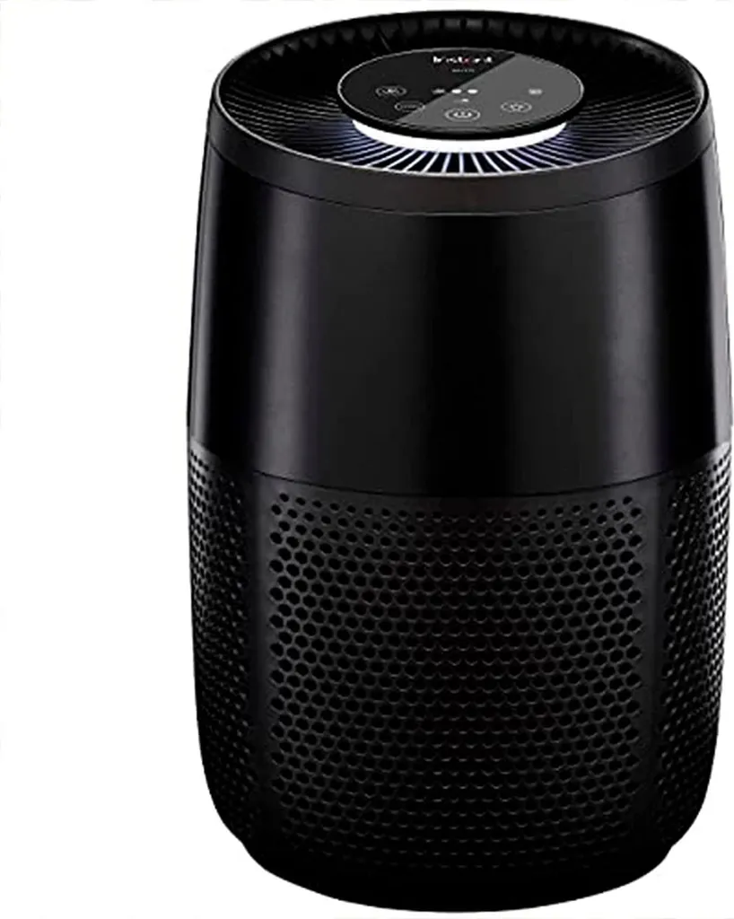 Purificateur d'air pour allergies et asthme filtration haute efficacité
