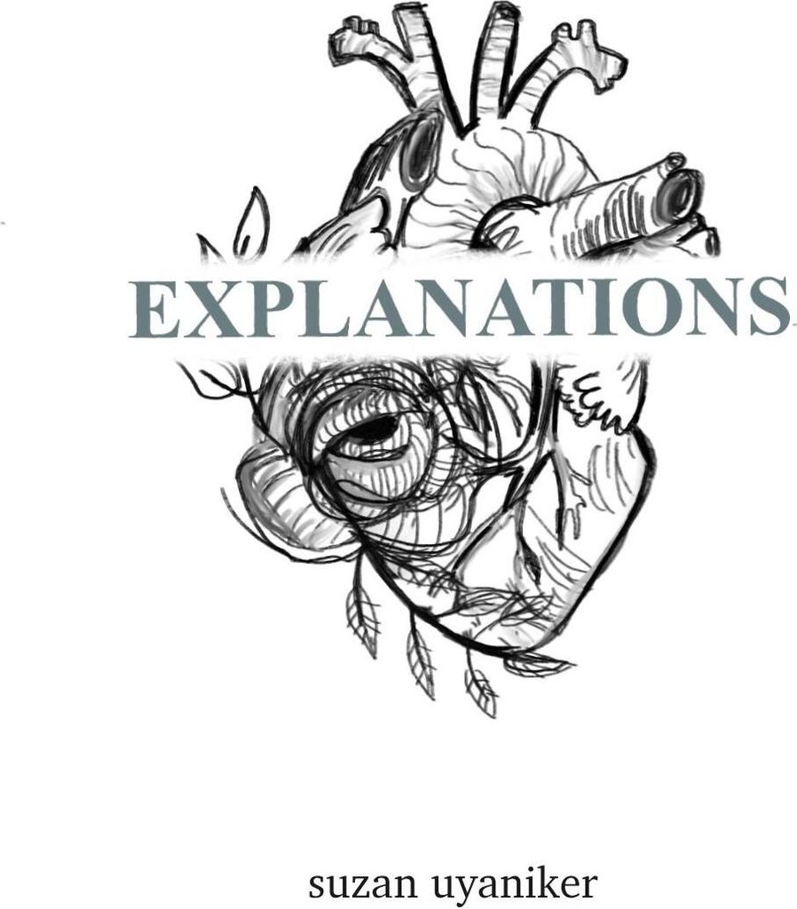 Explanations