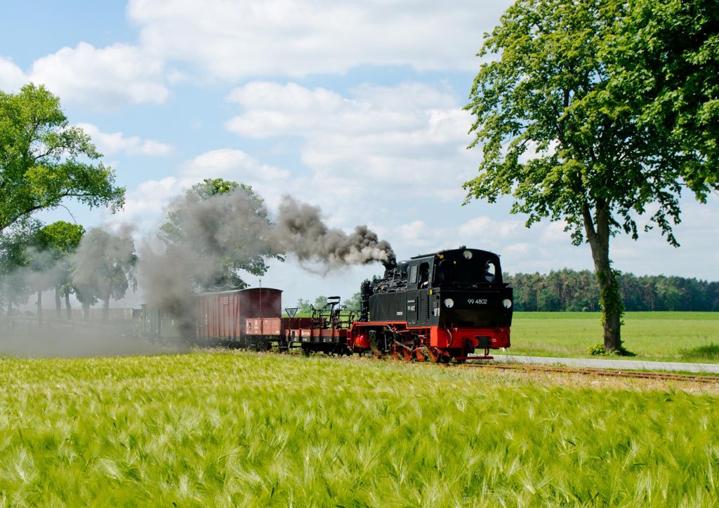 hansepuzzle 101818 - Lokomotive Puzzle, 260 Teile, Natur, 41,0 x 28,0cm mit hochwertiger Aufbewahrung, Kartonbox und wiederverschließbarem Beutel