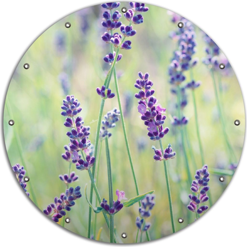 Wallario rundes Outdoor-Poster für Garten oder Balkon, Motiv Lila Blumenfreude - Violette Pflanzen auf der Wiese, 90 cm Durchmesser