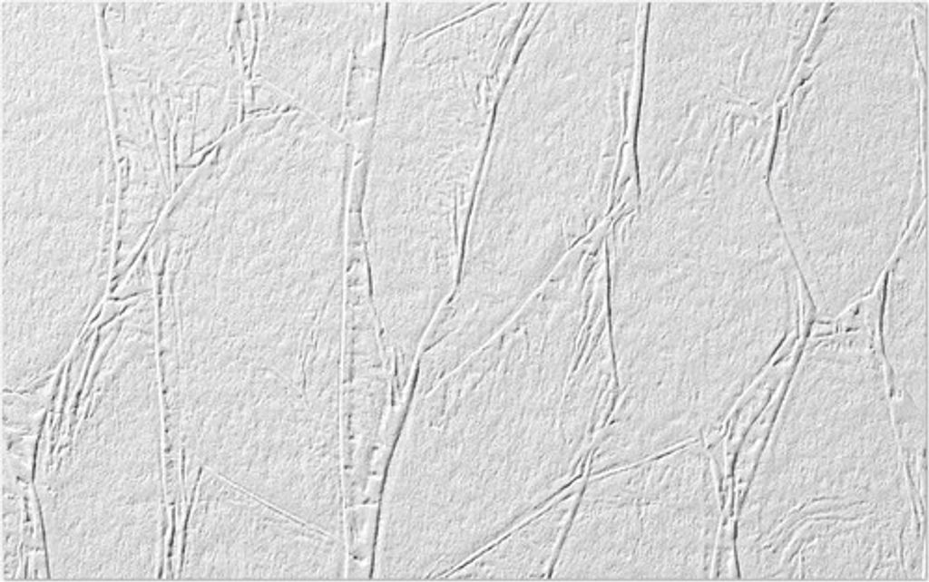 Erfurt Vliesfaser 1004308 Protect 200 10,05x0,53 m