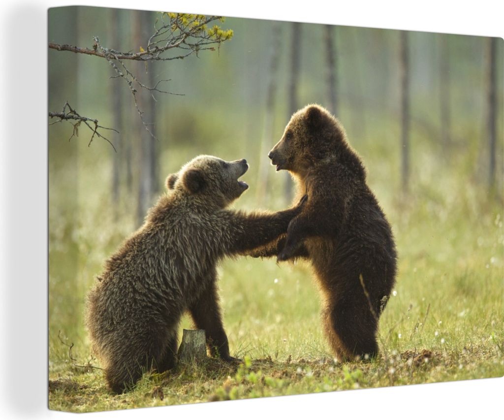 OneMillionCanvasses - Leinwandbilder - 140x90 cm, Zwei tobende junge Bären - Kleiner Junge - Mädchen - Kinder, Wandbilder Kunstdruck Wanddekora...