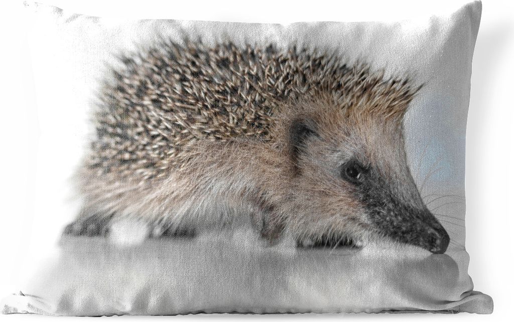 MuchoWow Outdoor Kissen - Igel auf weißem Hintergrund - 50x30 cm - Wetterfest - Lounge Kissen - Sofa kissen - Wohnzimmer Dekoration
