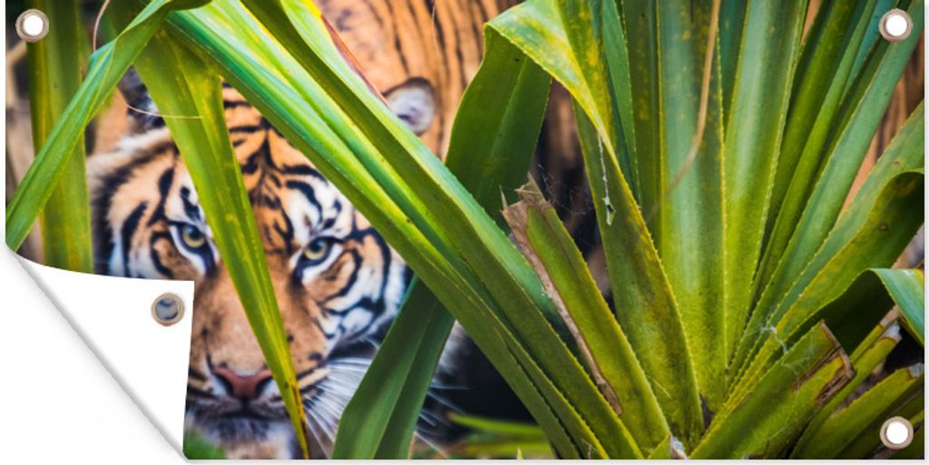 MuchoWow 160x80 cm Outdoor-Poster Gartendeko Sichtschutz Garten Poster für den Garten Versteckter Sumatra-Tiger im Laub