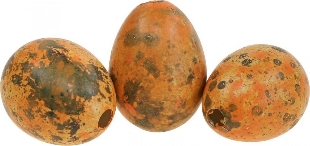 Wachteleier Deko Orange Apricot 50er Set Tischdeko Ostern, 50 Stück