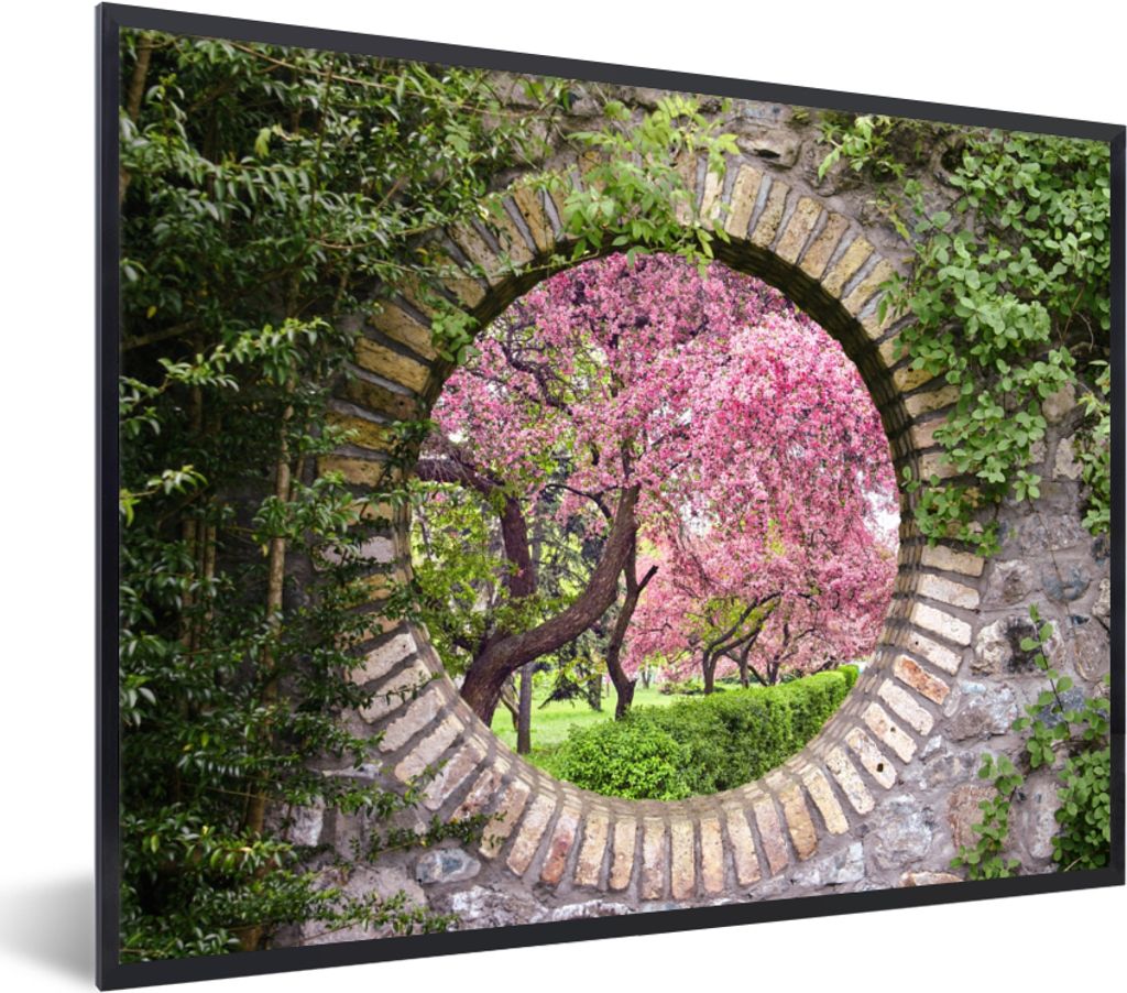 MuchoWow Gerahmtes Poster Transparent - Sakura - Blüte - Japanisch 40x30 cm - Poster mit Schwarzem Bilderrahmen Wandposter Rahmen Foto Bilder - ...