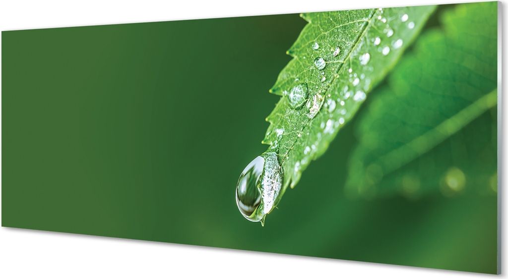 Glasbilder 125x50 Wandkunst Wassertropfenblatt