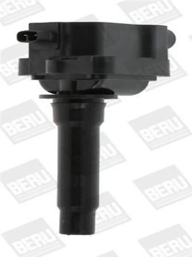 BorgWarner ZS434 Bobine d'allumage pour entretien et révision moteur