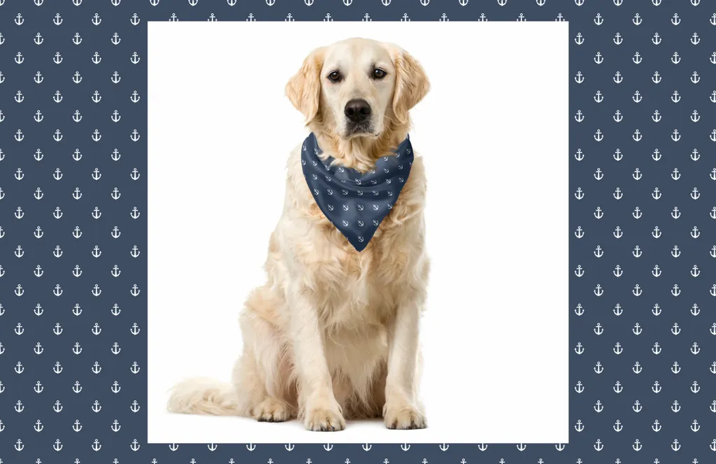Bandana Nautica Pet ABAKUHAUS 40x40 cm - Tessuto Alta Tenuta