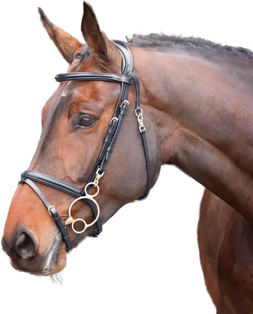 Velociti Bridon Rapida en cuir ER2049 pour poney coloris noir intense
