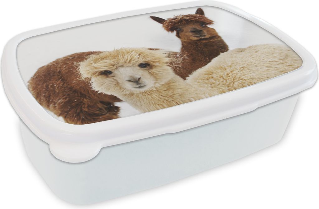KitchenYeah® Lunchbox Brotzeit Brotdose 17x11 cm Lama - Produktbild 