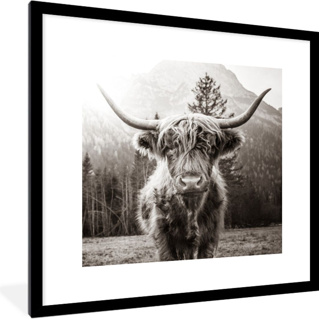 MuchoWow Gerahmtes Poster Schottischer Highlander - Tiere - Schwarz - Weiß 40x40 cm - Poster mit Schwarzem Bilderrahmen Wandposter Rahmen Foto B...