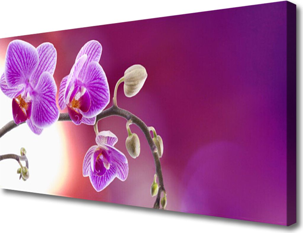 Tulup Leinwand-Bilder 100x50 Wandbild Canvas Kunstdruck Blumen Pflanzen