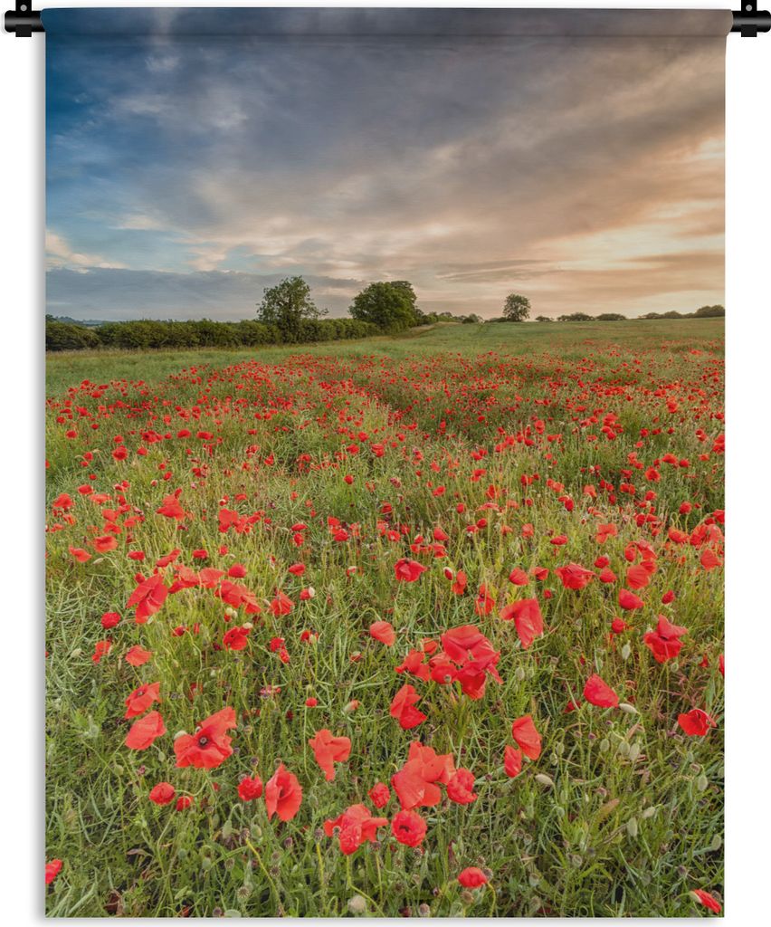 MuchoWow Wandteppich Wandbehang Mohnblumen - Wolken - Gras 150x200 cm Tapisserie Dekoration Wandtuch - Wandaufhängung - Moderner