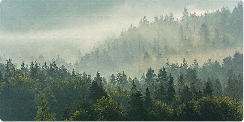 Nebliger Wald Im Morgengrauen– Schreibtischunterlage – Schreibtisch Tischunterlage – 90x45 cm – Unterlage Groß Schreibtischmatte