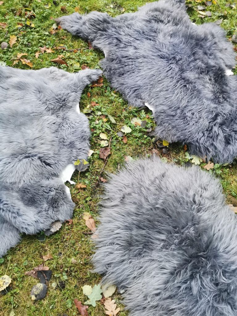 Merino Schaffell Echt – Lammfell Naturfell Teppich, weich, warm, Fell für Sofa, Stuhl & Deko: Größe:90cm - 100cm,Farbe:GRAU
