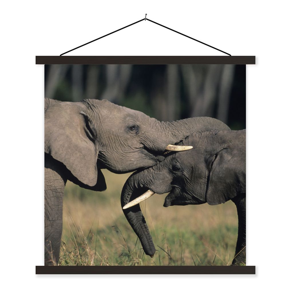 MuchoWow Textilposter Elefant - Tiere - Grau - Natur 90x90 cm mit schwarzem Rahmen - Magnetisches