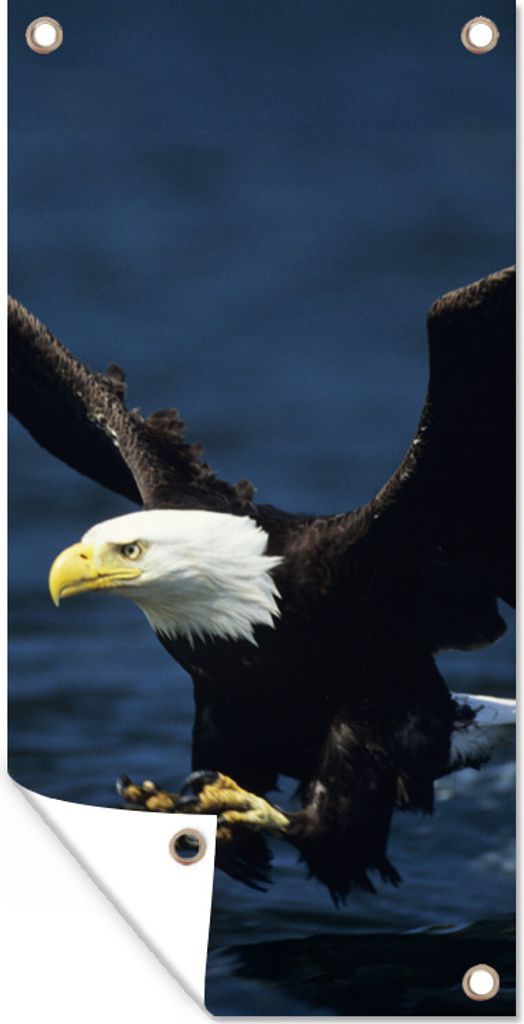 MuchoWow 40x80 cm Outdoor-Poster Gartendeko Sichtschutz Garten Poster für den Garten Adler - Nahaufnahme - Wasser