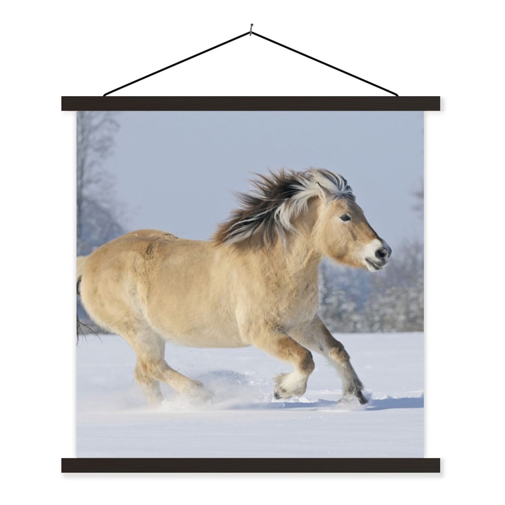 MuchoWow Textilposter Fjordpferd läuft durch den Schnee 60x60 cm mit schwarzem Rahmen - Posteraufhänger