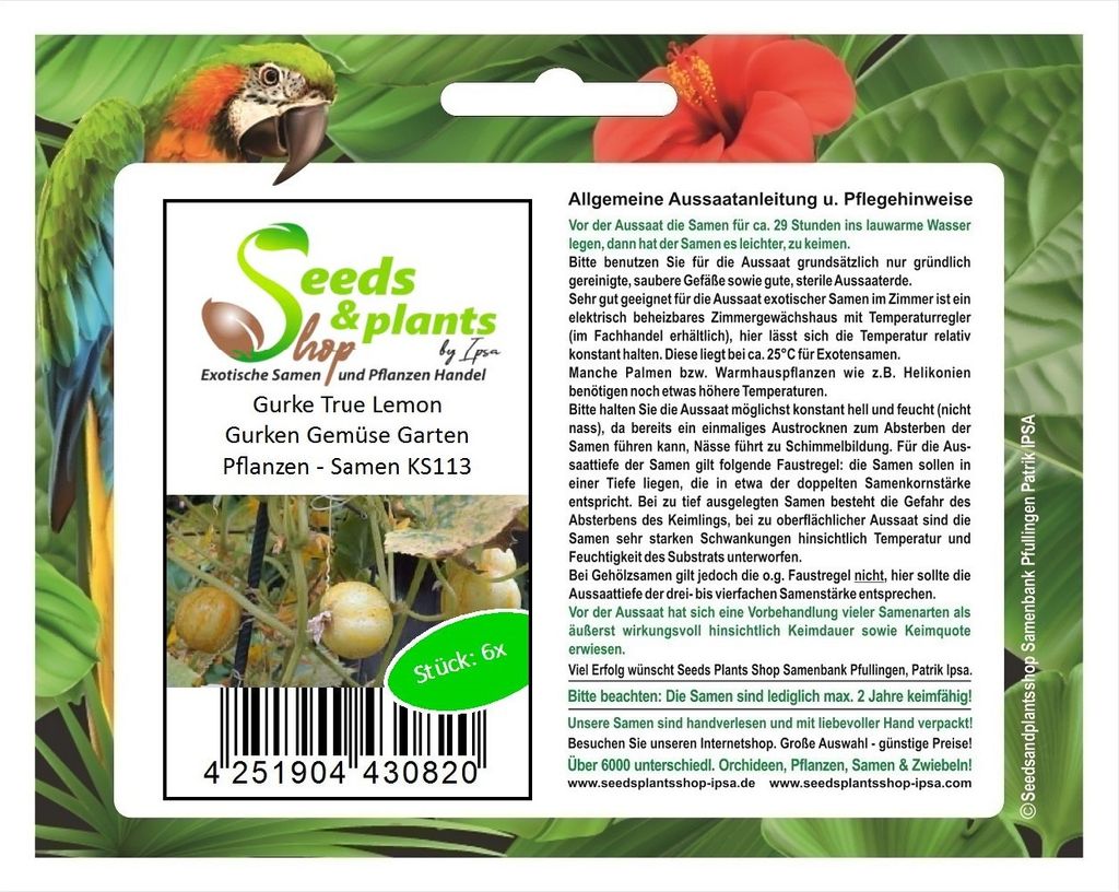 6x Gurke True Lemon Gurken Gemüse Garten Pflanzen - Samen KS113