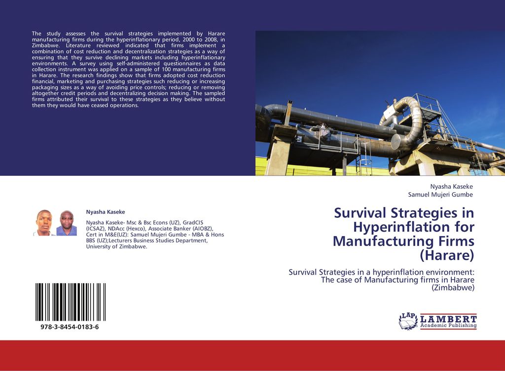 Survival Strategies in Hyperinflation for Manufacturing Firms (Harare)