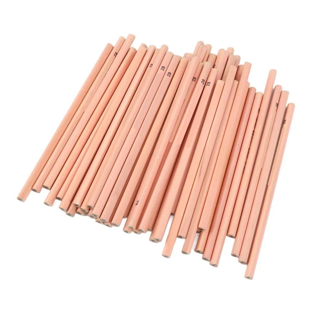 Matite Grafite 2B per Schizzi e Disegno Artistico - 50 Pezzi Legno - 3