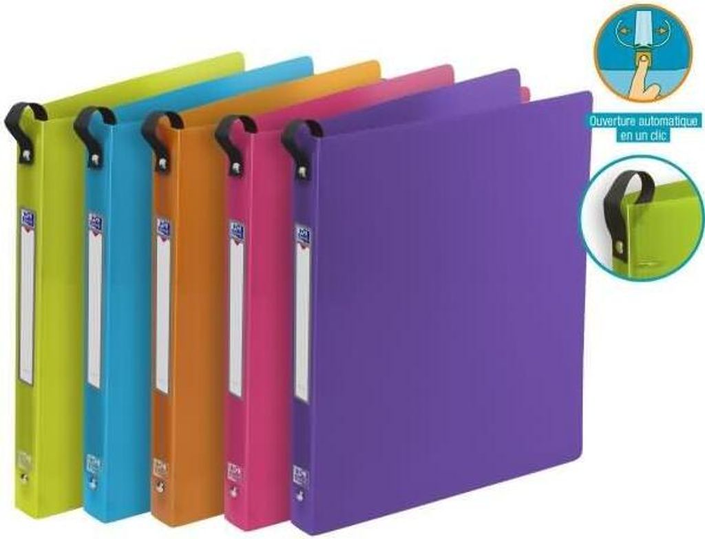 ELBA Ringbuch "ELBA School Life", DIN A4, 2-Ring, PP Rückenbreite: 30 mm, aus starkem Kunststoff - 18 Stück (400018338)