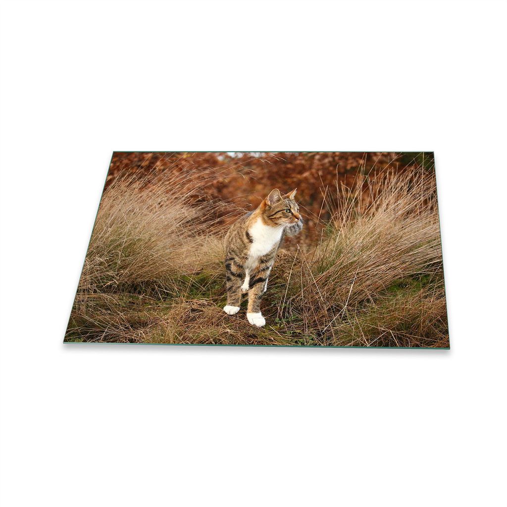 Herdabdeckplatte Glaskeramik 1 Teilig 80x52 Natur Gelb Abdeckung Glas Spritzschutz