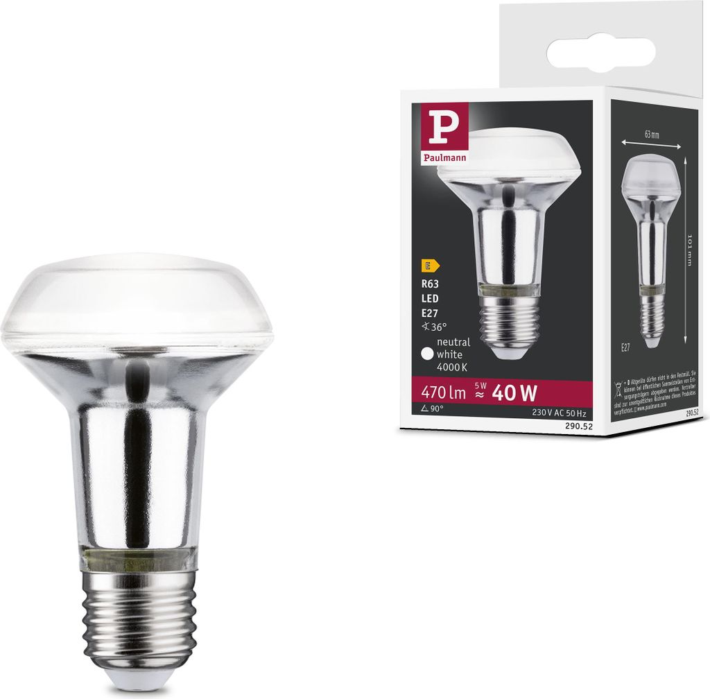 Paulmann Standard 230V LED Reflektor