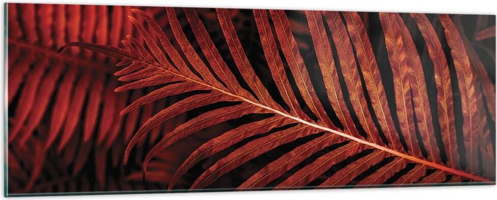 Bilder auf glas - Einteilig - Rot Blätter Palmen - 90x30cm - Glasbilder - Wandbilder - Bilder - zum Aufhängen bereit - Wanddekoration aus Glas - ...