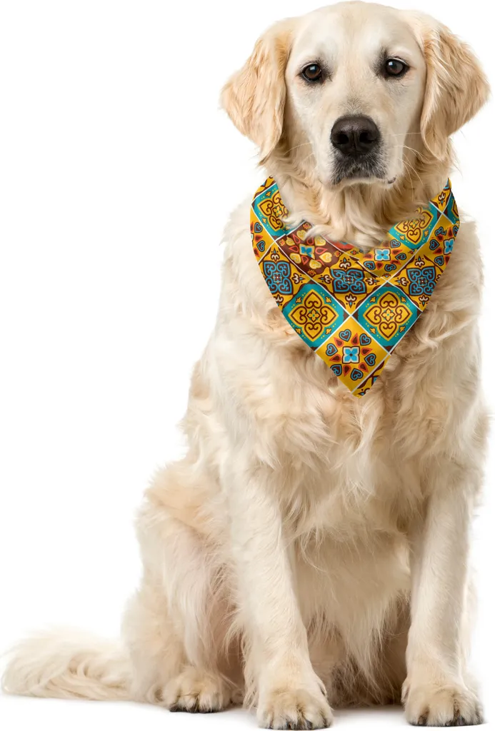 Bandana ABAKUHAUS per Cani Azulejo 40x40cm - Accessorio Pet Premium