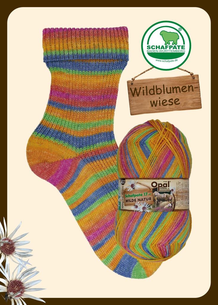 Opal SCHAFPATE 17 Wilde Natur 100 g 4-fach Pullover- und Produktbild 
