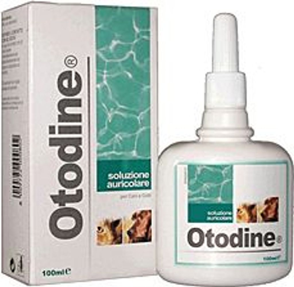 Geulincx Otodine 100ml Zdjęcie produktu 