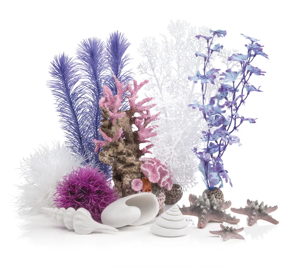 Aménager votre aquarium biOrb 30 L avec le set Océan rose complet