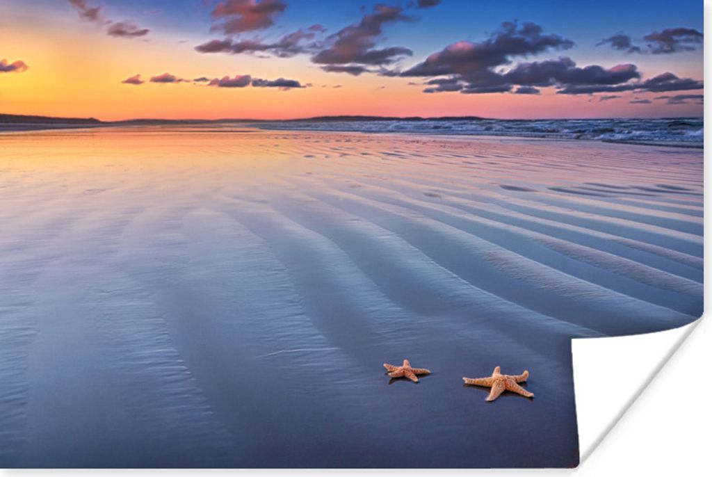 MuchoWow Poster Seestern - Wasser - Wolke 30x20 cm - Plakate - Print