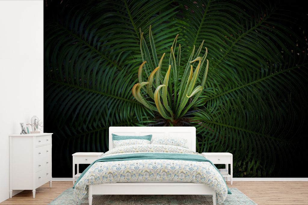 MuchoWow Fototapete für Wohnzimmer oder Schlafzimmer Wandtapete Vinyl Motivtapete Eine blühende Cycas-Pflanze auf schwarzem Hintergrund - 525x3...