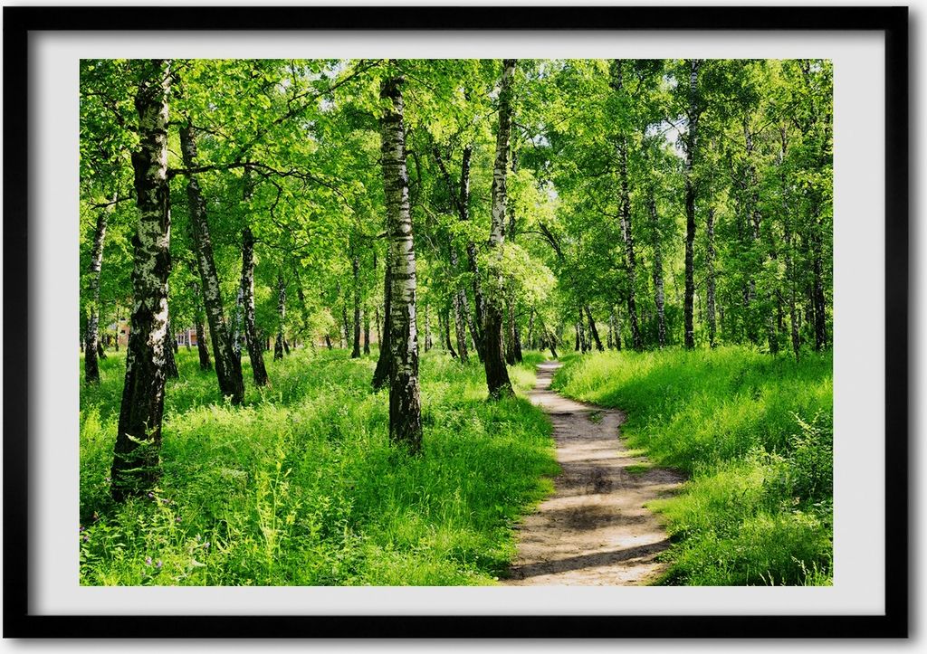 Bild - Bilderrahmen - 100 cm x 70 cm - MDF - Rahmen - Foto - Wandkunst Birkenwald