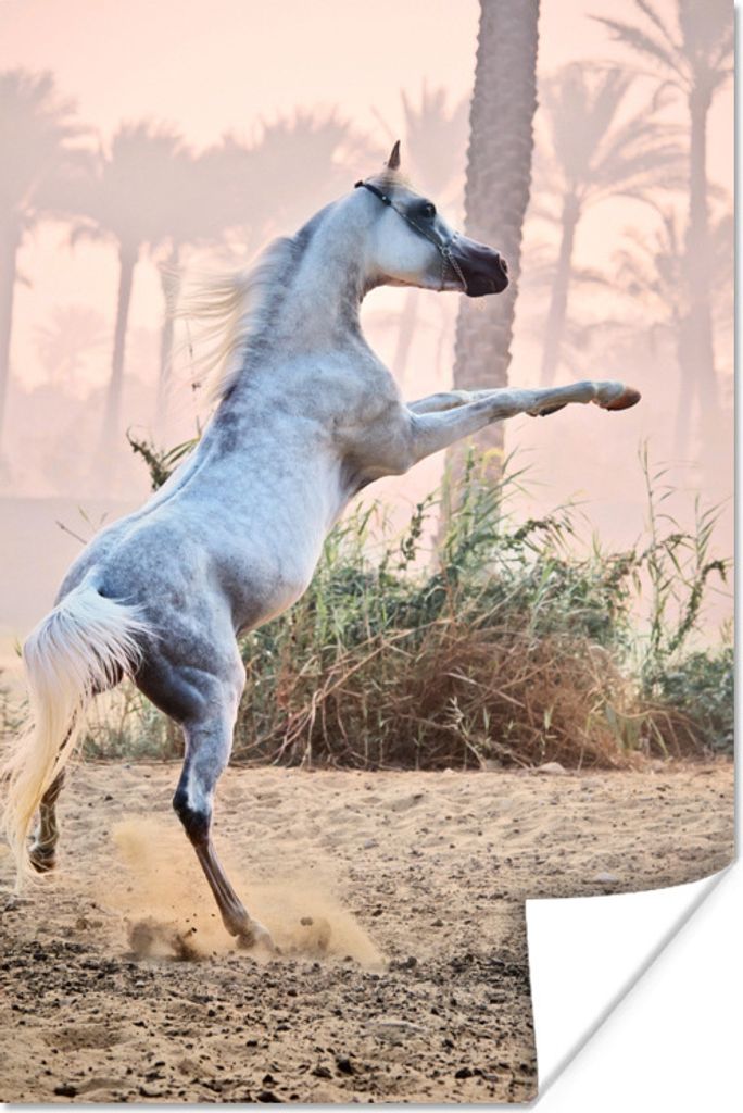 MuchoWow Poster Pferde - Sand - Palme 120x180 cm - Kunstposter