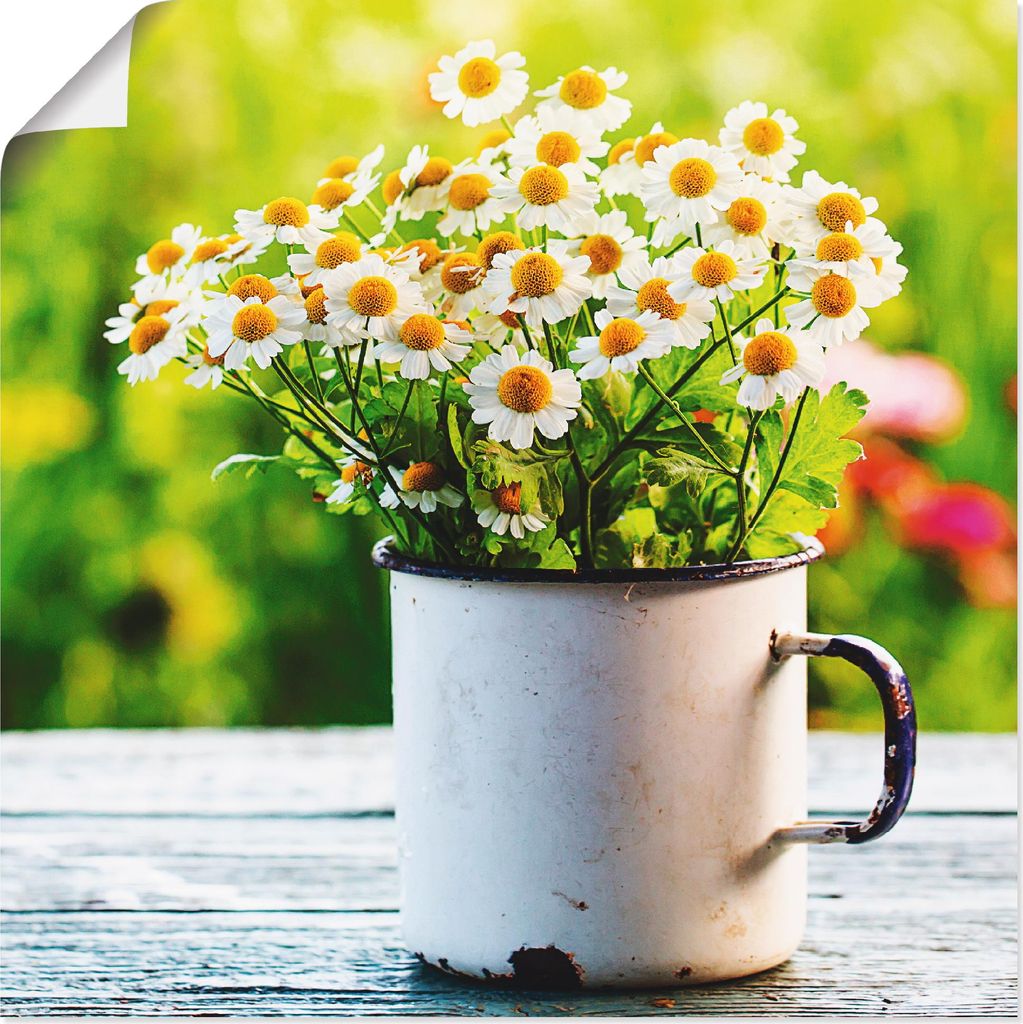ARTland Poster Frühlingsgarten mit Echter Kamille Größe: 40x40 cm