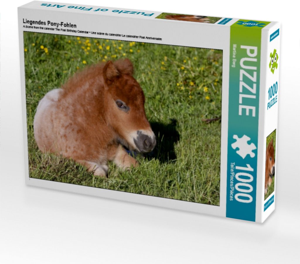 Calvendo Liegendes Pony-Fohlen 1000 Teile Puzzle quer 640x480mm, Berg Martina; 7381189