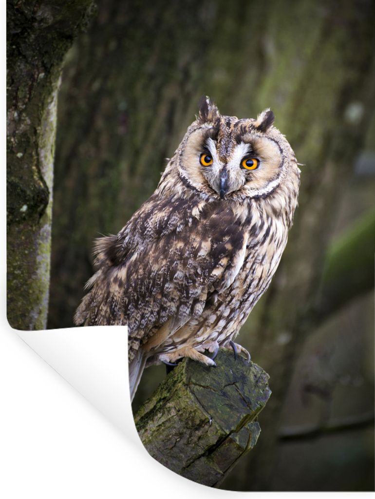 MuchoWow - Sticker - Dekorfolie