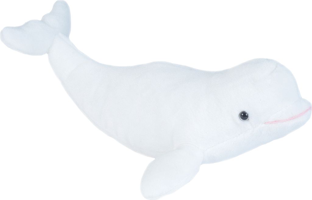 A plush toy beluga whale on a white background.