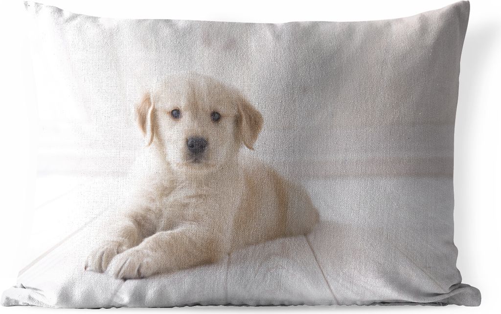 MuchoWow Outdoor Kissen - Weißer Golden Retriever Welpe - 50x30 cm - Wetterfest - Lounge Kissen - Sofa kissen - Wohnzimmer Dekoration