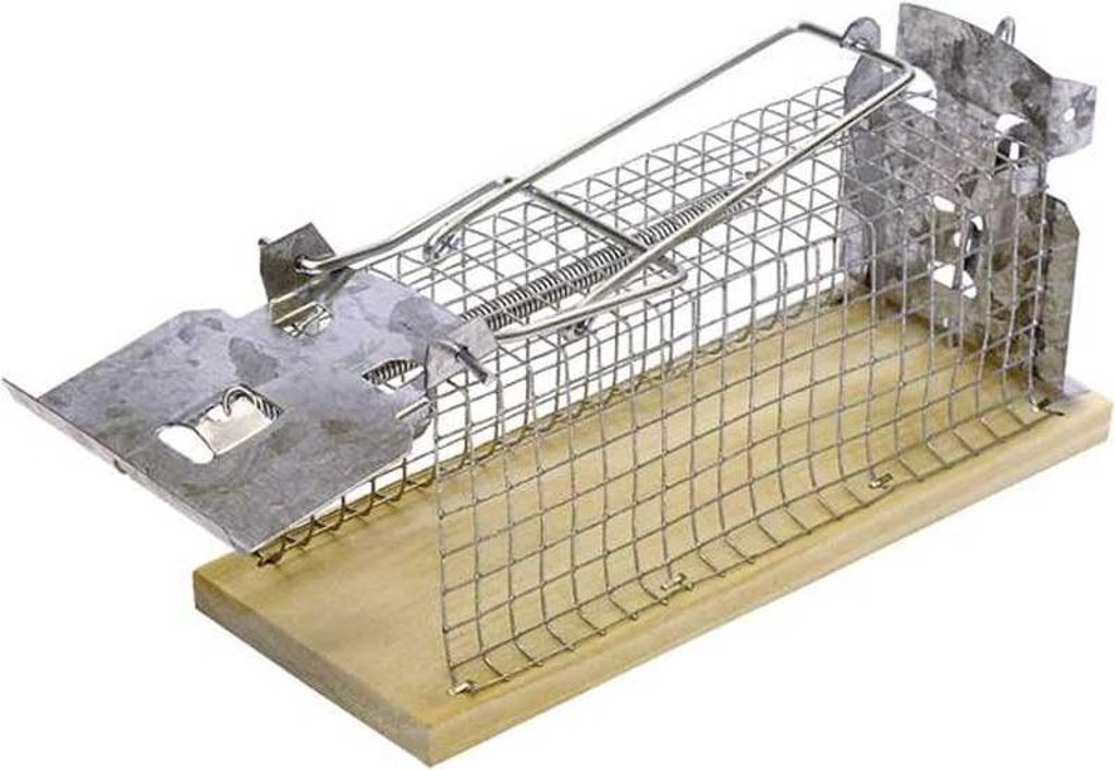 A single live-catch mouse trap is shown against a white background.