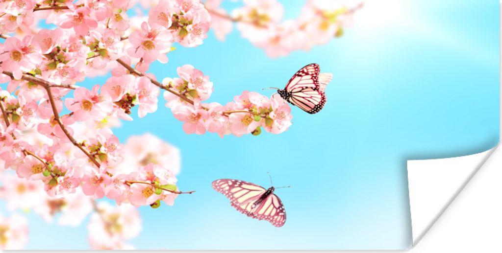 MuchoWow Poster Schmetterlinge - Baum - Blumen 40x20 cm - Poster für die Wand - Poster Schlafzimmer