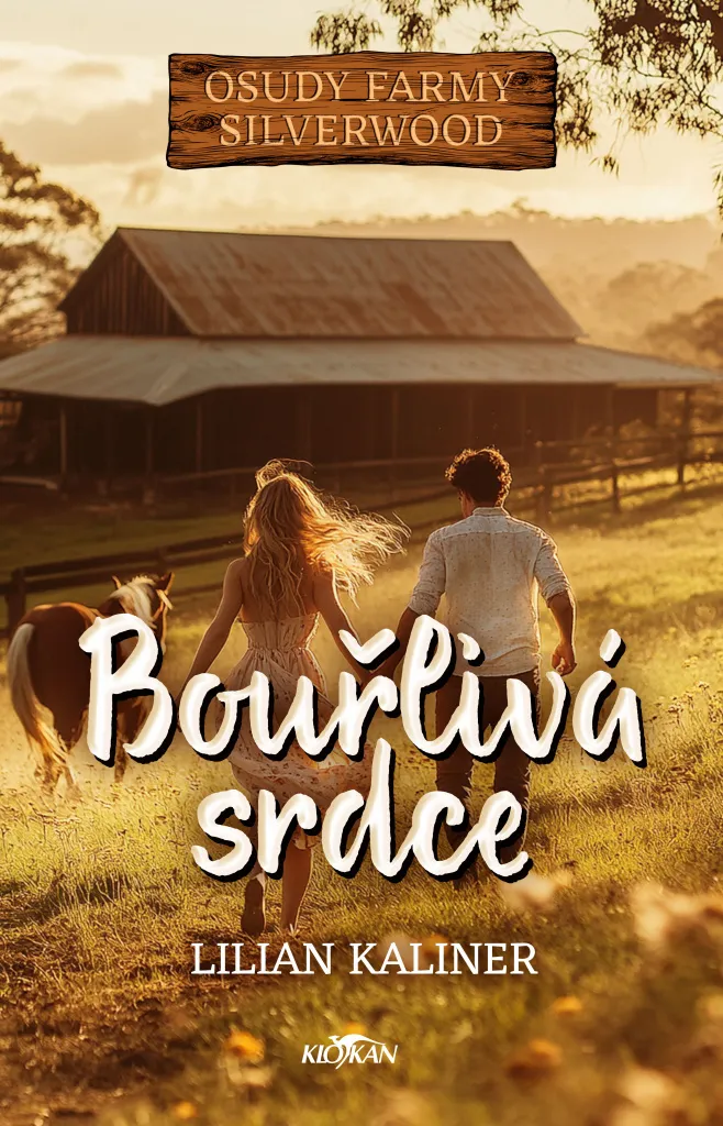 Livre Roman Bouřlivá srdce par Lilian Kaliner - Littérature Contemporaine